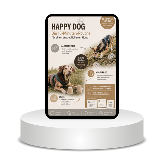 Happy Dog Routine Beschäftigungs-Karten