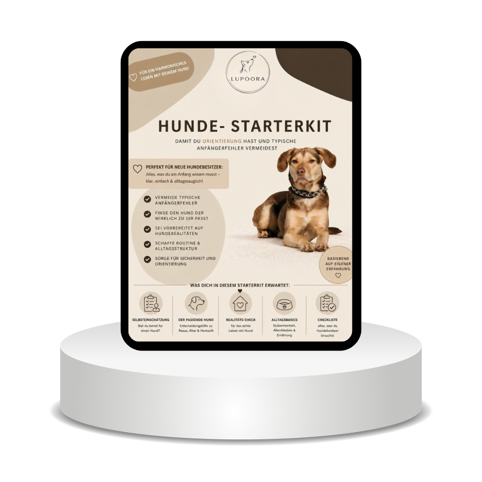 Hunde Starter Kit für Anfänger